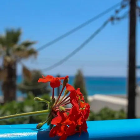 Sea View & Aparthotel Agia Anna (Naxos)