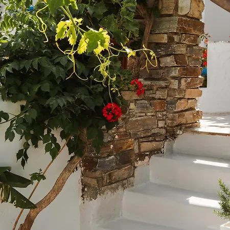 Aparthotel Sea View & 3*