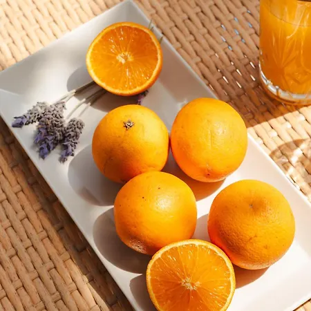 Sea View & Aparthotel