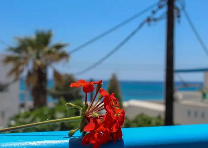 Sea View & Appartement Agia Anna (Naxos)